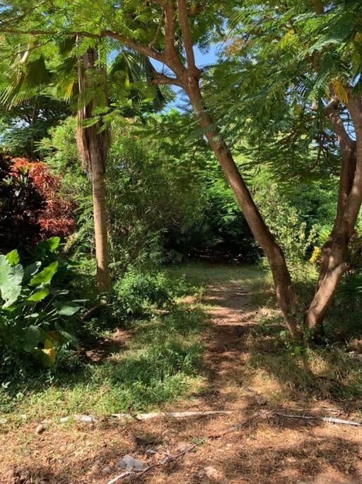 In Africa, Seaside Serenity At Paje