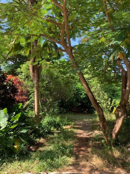 In Africa, Seaside Serenity At Paje